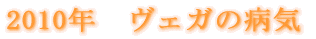 2010N@FK̕aC